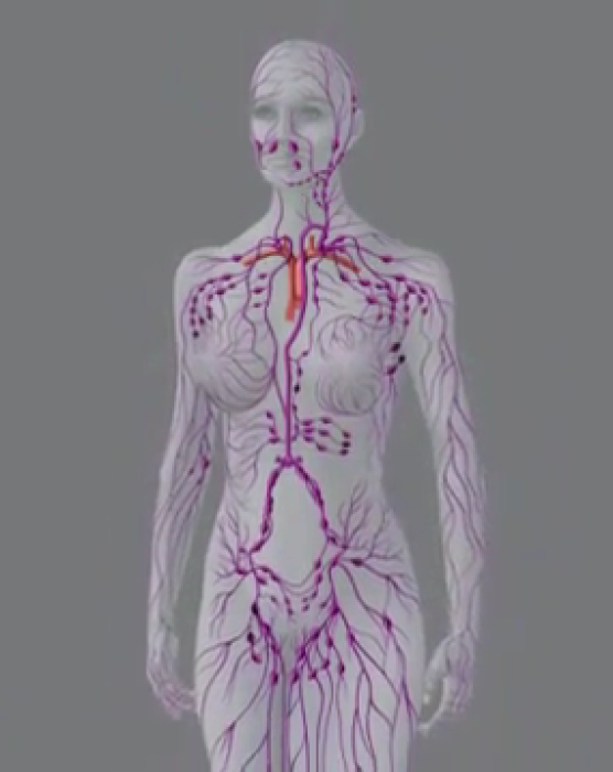 image_2022-08-22_211449750 image_2022-08-22_211449750